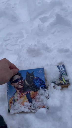 Simon Yosh on TikTok