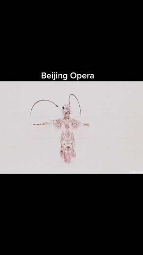 Professional Beijing Opera Dress Up and Movement