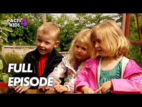 Spicy Baked Wraps! | I Can Cook | S01 EP17 | Full Episode | Facts4Kids