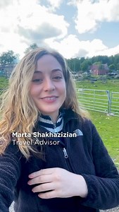 18K views · 461 reactions | Visiting Neil Ross and his working...