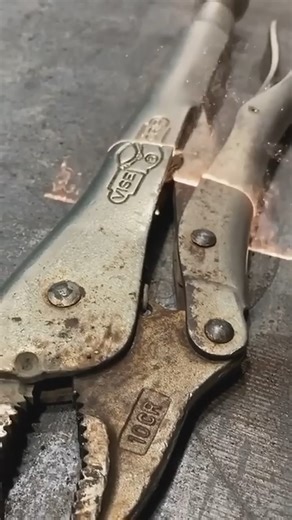 1.5K views | An efficient and harmless way to remove rust #shorts #facts | Facts 4 Genius | Facebook