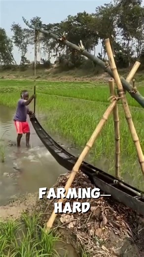 Traditional Bamboo Water Pump | Simple Technology for Rice Field Irrigation.