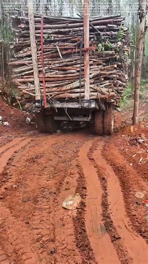 Tractor - Trailer Struggles on Muddy Logging Road