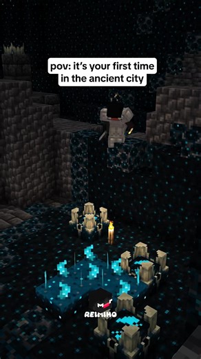 That sudden darkness after triggering the sculk sensors and shrieker. ,, #minecraftmemes,#minecraft, | S H I V E R