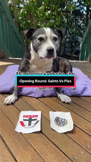 Who do you think will win tonight’s game #footy #football #saints #pies