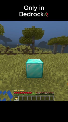 Weird Feature in bedrock🥀💀 #minecraft #minecrafthumor #memes
