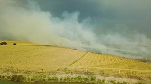 Why Home Insurance Costs Are Soaring in Climate-Risk Areas