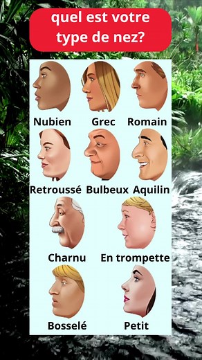 quel est votre type de nez? #nez , #nezaquilin , #nezretroussé, #nezgreque, #NezRomain
