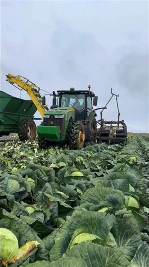 Modern Farming Machines Are INSANE! 🌾