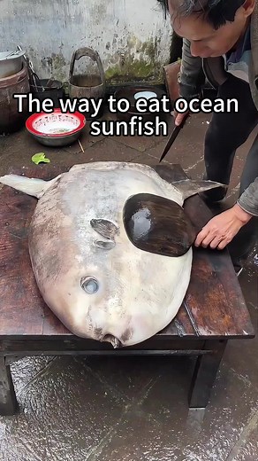 How to Properly Prepare Ocean Sunfish