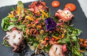 New seasonal specials added to weekday set lunch menus at The White Rabbit | Coconuts