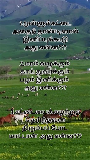 crt ahna ans pin seiyappadum ❤️ #part #trending #viral #interesting