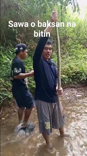 A rare adventure catching a python in the river with the hunters! #python #pythonsnake