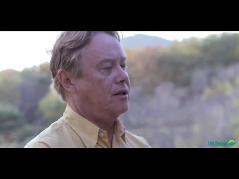 Ciclos biogeoquímicos y cambio global