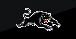 Panthers reveals renewed logos for 2019