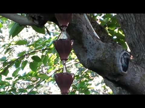 Rain Chain Tree Fountain, It's Great ! ! !