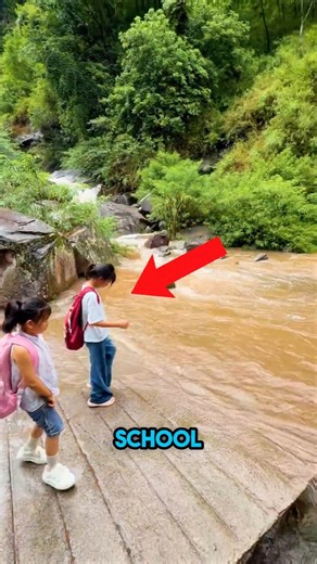The hero who helped them cross! 👧❤️