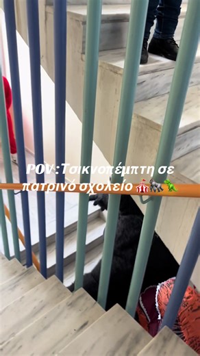 Γορίλας 🦍 vs Δεινόσαυρος 🦖 #fy #patrascarnival2026 #tsiknopempti