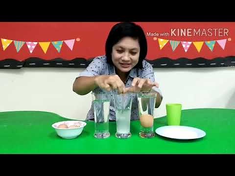 Science - Floating egg experiment