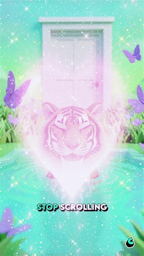 Exploring Language Learning with Cantina