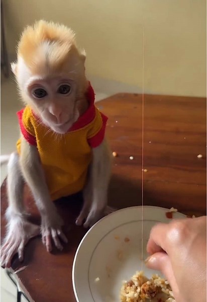 #LIVEhighlights #TikTokLIVE #LIVE selamat makan siang semua