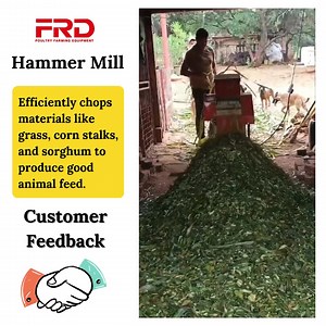 🚜 High-Performance Hammer Mills – Built for Efficiency! 🚜✅Great for making livestock feed ✅ Fast & powerful milling 📞 Call/WhatsApp 083 805 0375 to order or inquire NOW! 📍 Visit us: 2 Nywerheid St, Tunney Industrial, Germiston, 1429, Johannesburg. | FRD Poultry Farming Equipment