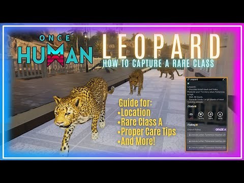 LEOPARD - Once Human Guide