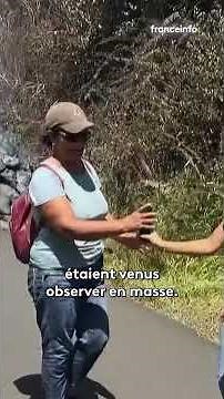 Piton de la Fournaise: when lava meets the ocean