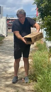Young Prikichi back in the wild. Rescued by Alvin Thijsen (masha danki) and nursed back to health by Dr. Gogorza (with gratitude), this young Prikichi (Brown-throated Parakeet, an endemic subspecies is the National Bird of Aruba) has been successfully released back into Aruba’s wildlife. Their numbers have fallen drastically, and rescuing even one makes a difference. Aruba’s nature is under a lot of pressure. Let’s learn to love Aruba and to take care of our nature. Do it for the children. Aruba