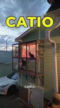 I can’t believe this is my cats first ever CATIO! I can’t wait to build the others 😍 #catios #cats