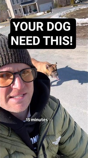 Most dogs aren’t getting what they actually need.