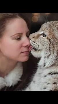 5 Small Exotic Cat Breeds