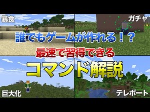 [Fastest Learning] If you want to create your ideal game, check this out! [Java Edition Command E...