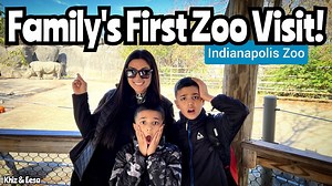 Indianapolis Zoo Tour: This Visit Will Change How You See Zoos Forever