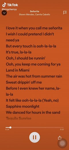Camila Cabello ft Shawn Mendes - Senorita Song and Lyrics