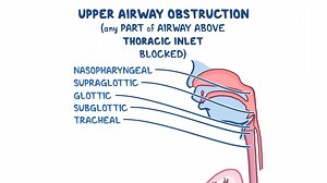 Video: Approach to upper airway obstruction (pediatrics): Clinical sciences - Video Explanation! | Osmosis | Osmosis