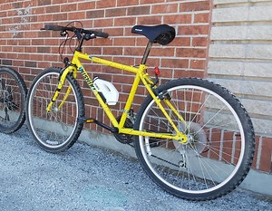 Nishiki Colorado please help