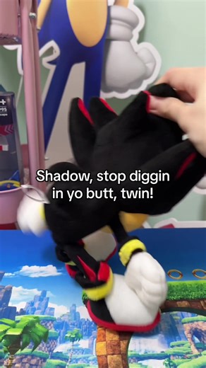 I love having Sonic and Shadow plush toys #sonic #sonicthehedgehog #toys #game #collection