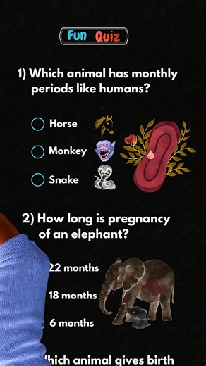 Fun Quiz Test your knowledge about random topics. #knowledge #riddle #quiztime #quizz #Quiz