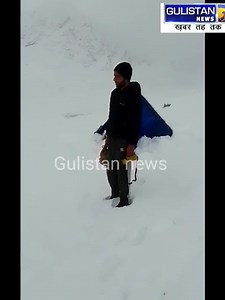 7.5K views · 47 reactions | Due to snowfall at upper areas of Faqir Gujri Srinagar Nomadic families have suffered have Loss which includes livestock including horses ,sheeps, and cows etc Effected families request government to provide immediate relief to them | Gulistan Live Feed | Facebook
