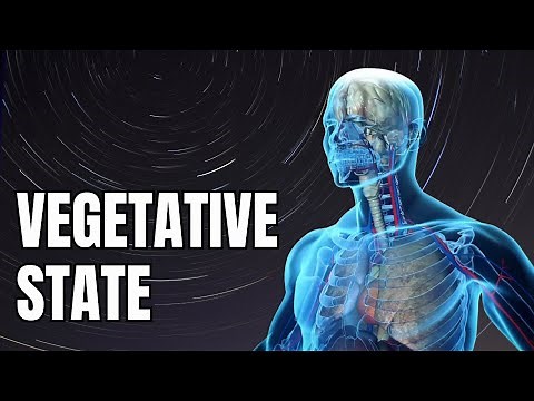 How to examine patients in a vegetative state?