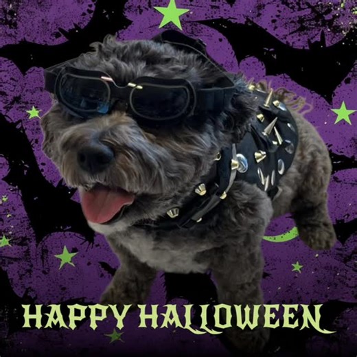 Happy Halloween! | Super Muscle Parts