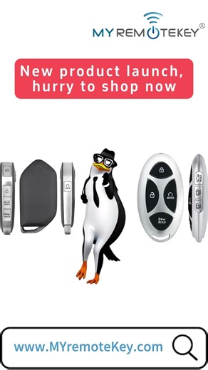 🔥 New Car Key Models Are Now Available!