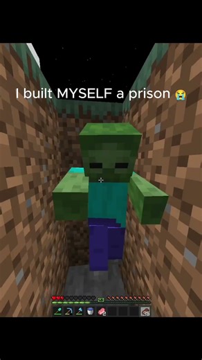 The Perfect Trap… On Myself #minecraft #shorts #minecraftshorts #gaming #relatable