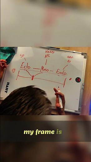 Body Type Spectrum: Understanding Ecto, Meso, and Endo #shorts
