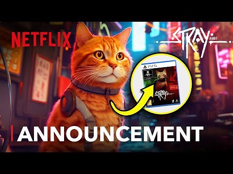 Stray (2027) – Animated Movie Breakdown & Everything We Know About this Video Game Adaptation
