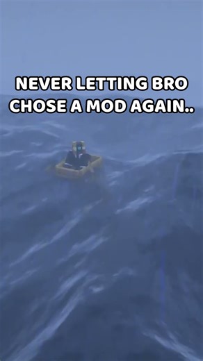 Bro Will NEVER Again Use Mods..