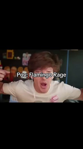 His rage is everything 😎 #flamingo #rage #albert #goofy #NOOO #albertcore #funny #fypage