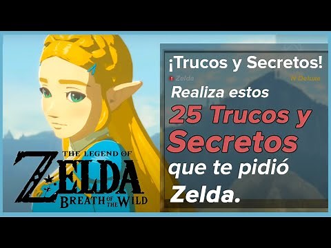 25 Tricks and Secrets of Zelda Breath of the Wild | N Deluxe