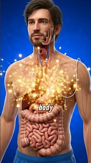 What happens when you fast for 48 hours